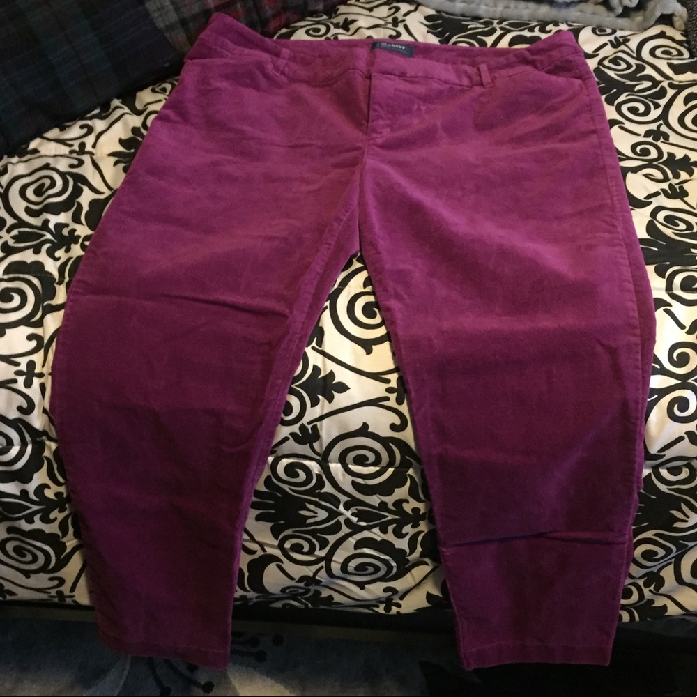 Magenta Velvet Pixie Pant
